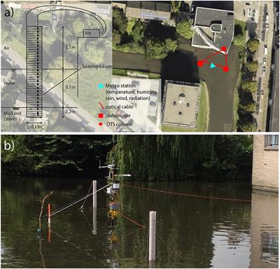 Nighttime Cooling of an Urban Pond